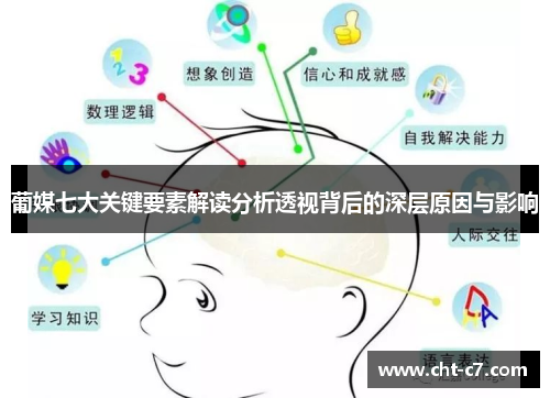 葡媒七大关键要素解读分析透视背后的深层原因与影响
