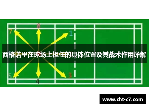 西格诺里在球场上担任的具体位置及其战术作用详解
