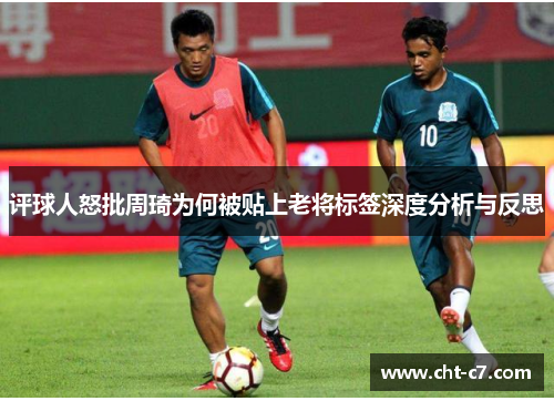 评球人怒批周琦为何被贴上老将标签深度分析与反思