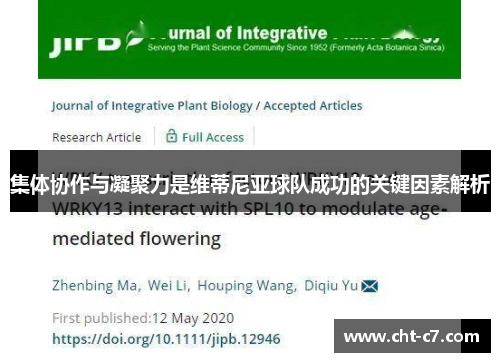 集体协作与凝聚力是维蒂尼亚球队成功的关键因素解析 集体协作与凝聚力是维蒂尼亚球队成功的关键因素解析