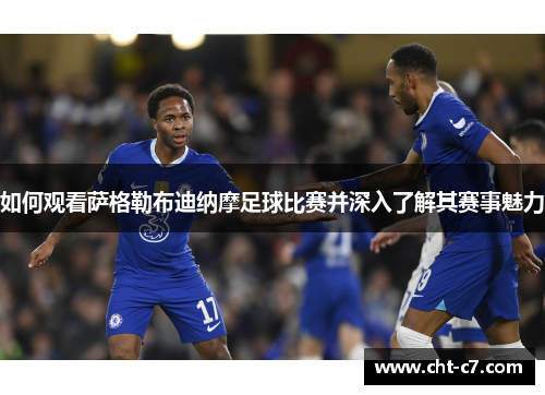 如何观看萨格勒布迪纳摩足球比赛并深入了解其赛事魅力