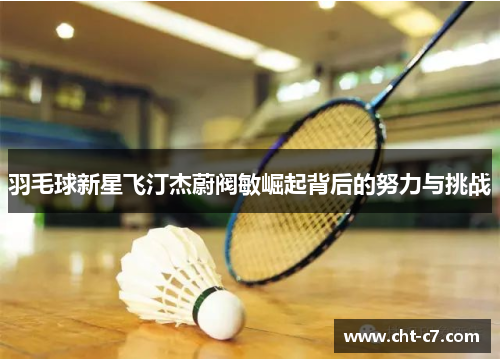羽毛球新星飞汀杰蔚阀敏崛起背后的努力与挑战