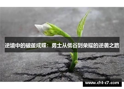 逆境中的破茧成蝶：勇士从低谷到荣耀的逆袭之路